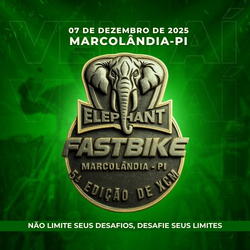 ELEPHANT FAST BIKE | 2025